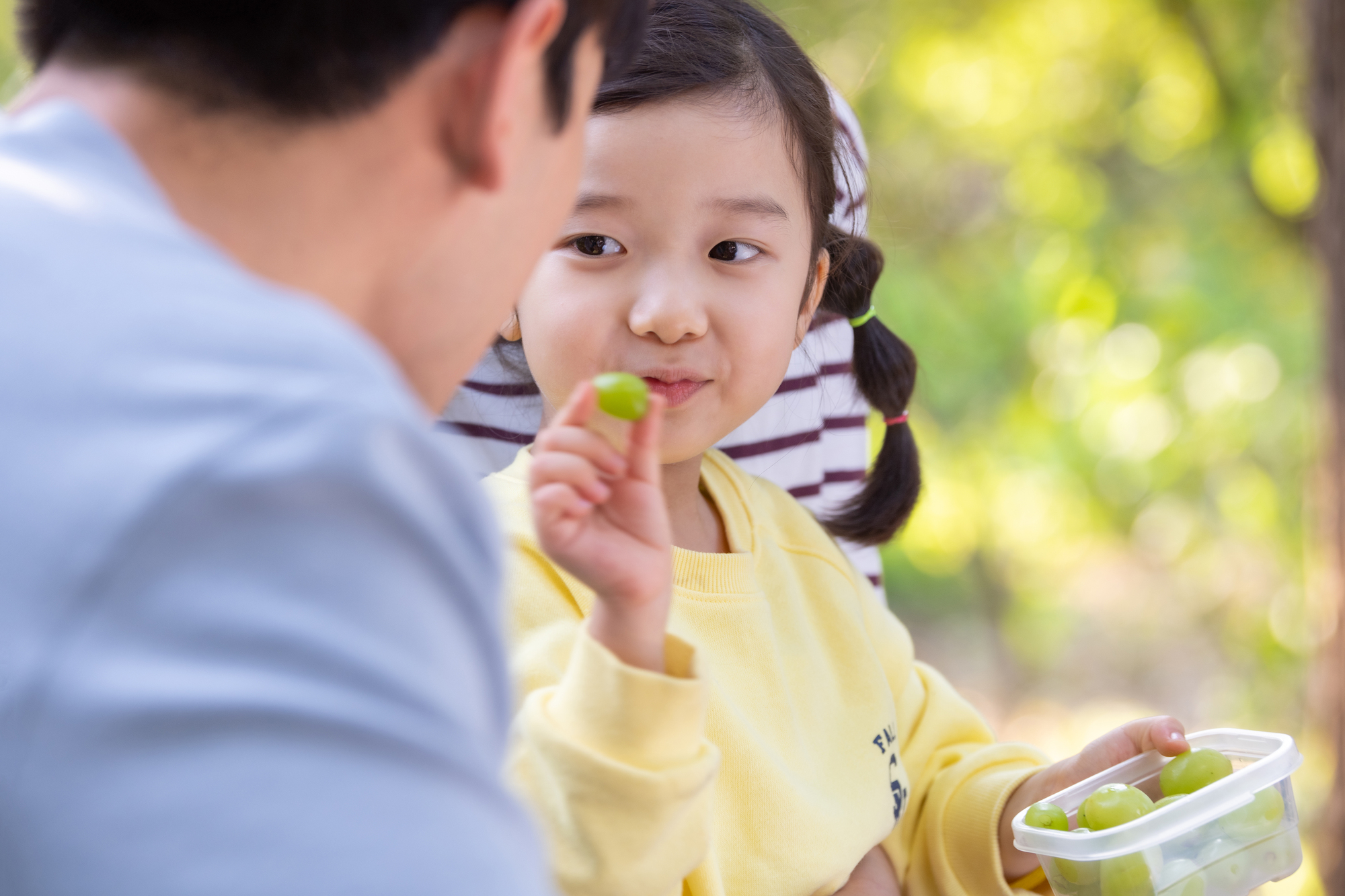 食べ物で数遊び